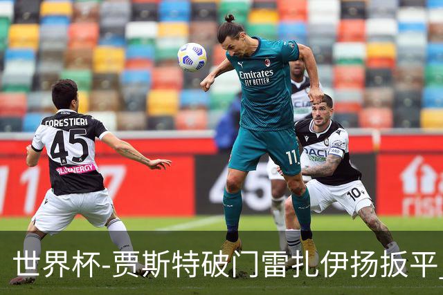 世界杯-贾斯特破门雷扎伊扬扳平 半场伊朗1-1新西兰